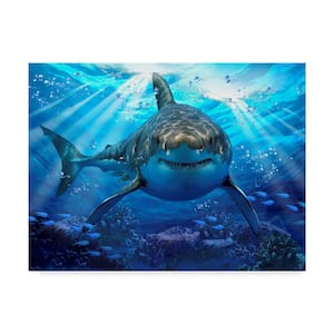 Stalking Shark by Howard Robinson Floater Frame Animal Wall Art 14 in. x 19 in.