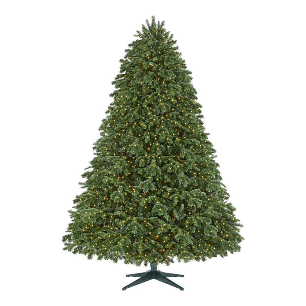 Home Decorators Collection 7.5 ft Waldorf Fir Christmas Tree