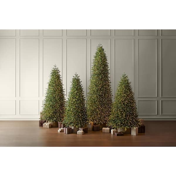 Home Decorators Collection 7.5 ft Elegant Twinkling Grand Fir LED