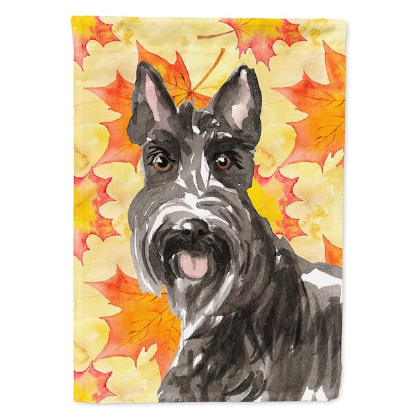 Caroline's Treasures 11 in. x 15-1/2 in. Polyester Fall Leaves Scottish Terrier 2-Sided 2-Ply Garden Flag