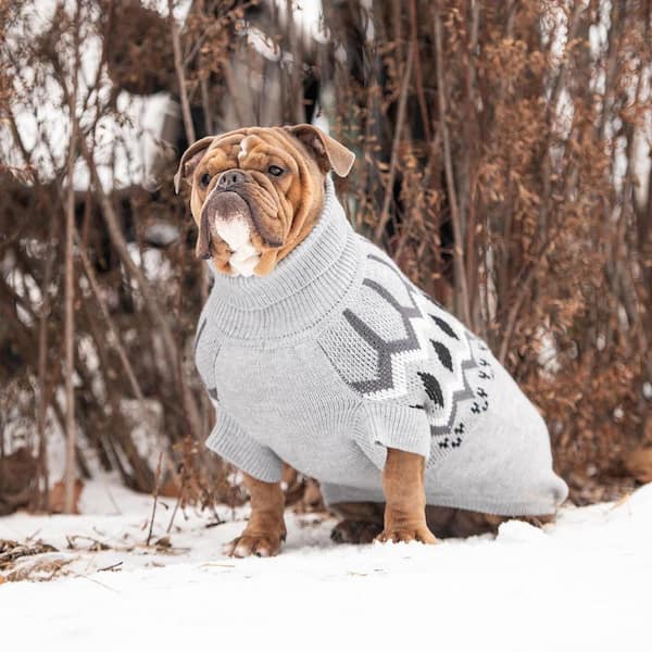 3x dog sweaters sale