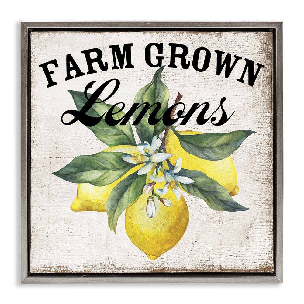 Farm Grown Lemons by Creatif Belle Gray Floater Frame Food Graphic Art Print 18 in. x 18 in. price history on PriceWatchPro