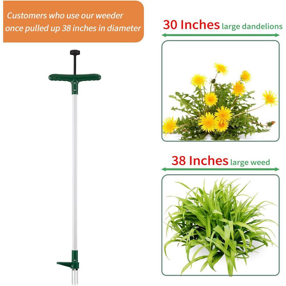 39.5 in Green and White Stainless Steel Stand-Up Garden Weeder
