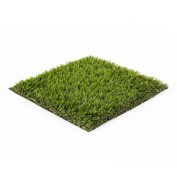 Eco 56 (1 ft. x 1 ft. Sample Square)