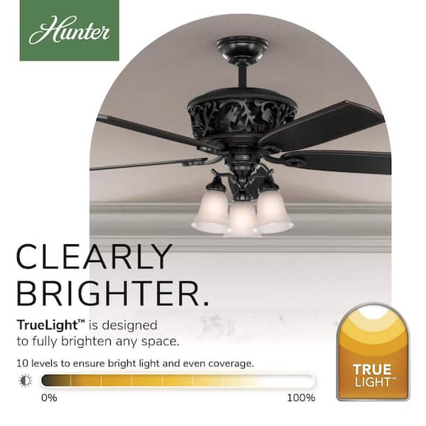 Hunter Promenade 54 in. LED Indoor Gloss Black Ceiling Fan
