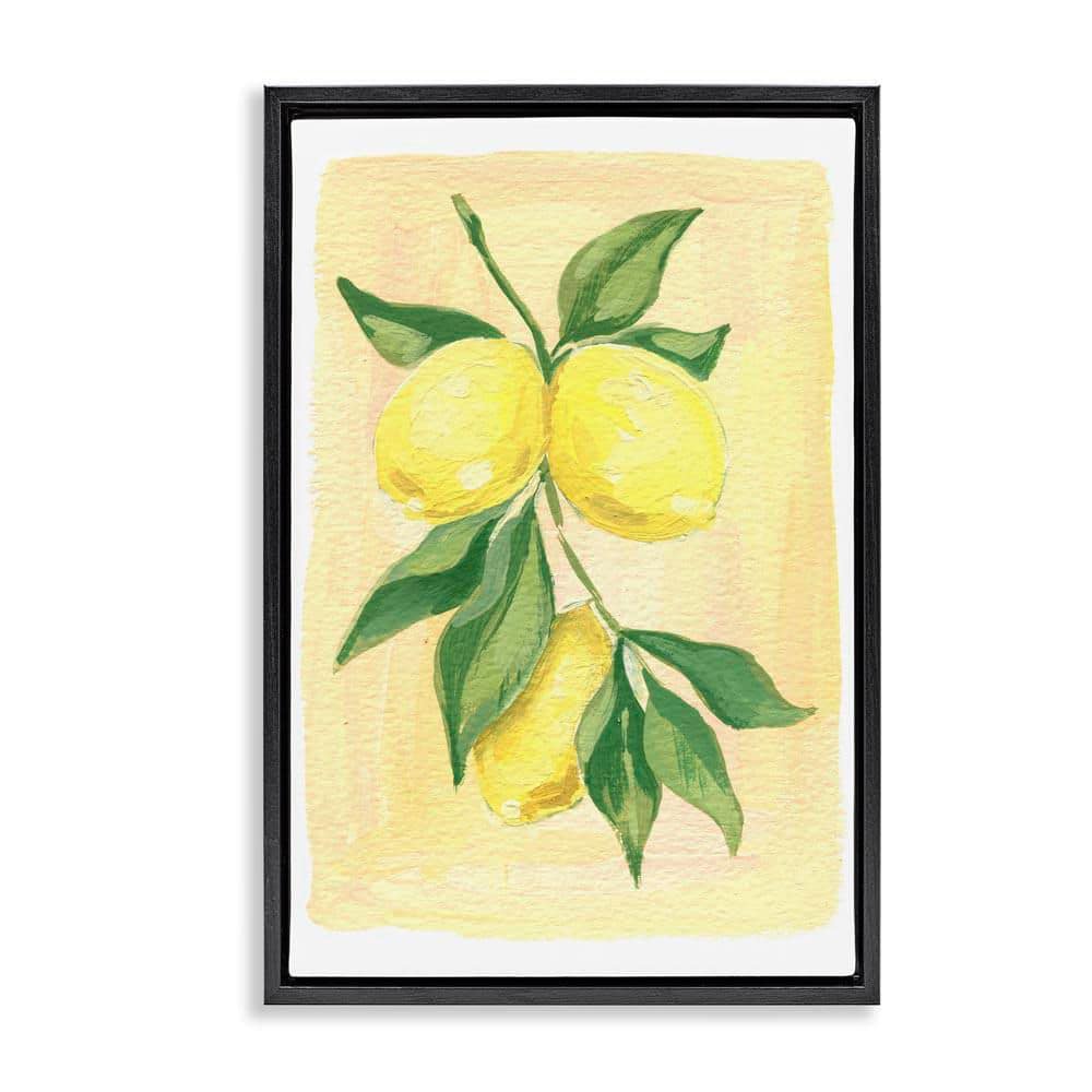 Hanging Lemons Country Charm by Hannah Moren Black Floater Frame Food Graphic Art Print 25 in. x 17 in. price history on PriceWatchPro