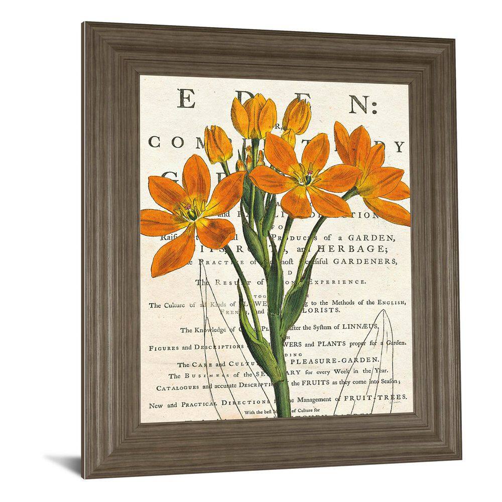 1-Piece Framed Graphic Print Nature Art Print 26 in. x 22 in. price history on PriceWatchPro