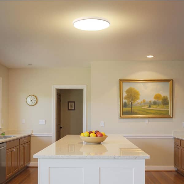 24W Smart LED Flush Mount Ceiling Light with RGB Music Sync, Remote, Alexa, Google Assistant, Bluetooth & WiFi, White