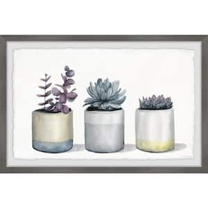 "Three Potted Succulents" by Parvez Taj Framed Nature Art Print 12 in. x 18 in.