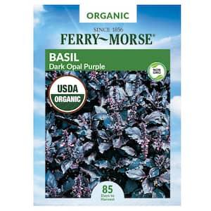 Organic Basil Dark Opal Herb Seed