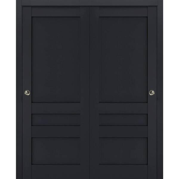 Sartodoors 64 in. x 84 in. 2 Panel Antracite Finished Solid Wood Sliding Door with Hardware