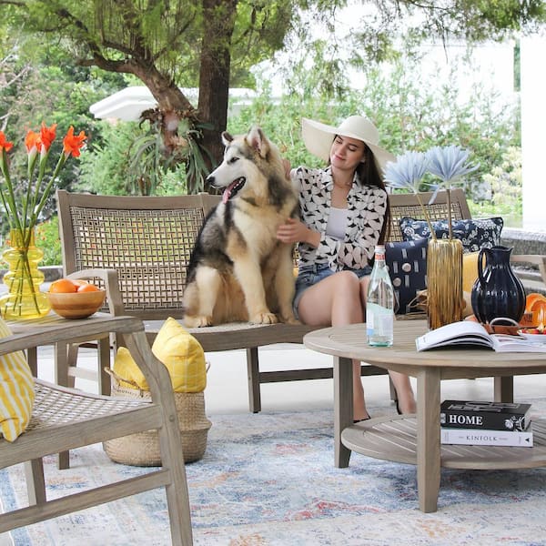 Dog lounge chair on sale outdoor