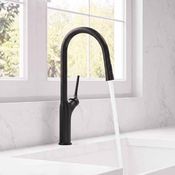 20.2 in. Single Handle 360° Swivel Pull Down Sprayer Kitchen Faucet with Advanced Spray in Matte Black