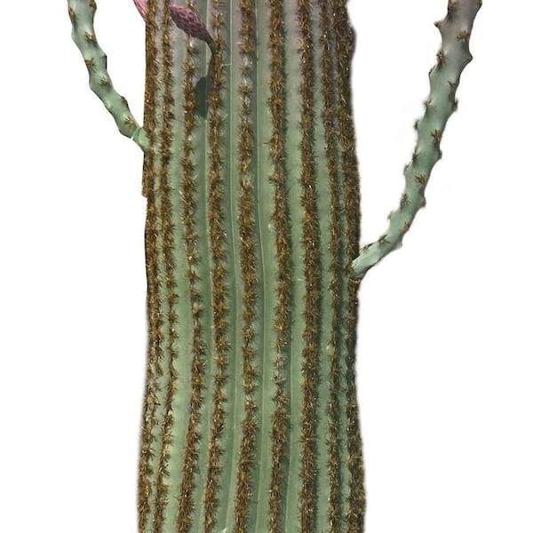 3.6 FT Artificial Cactus Tree In Pot, 43" Desert Cacti Potted Plant,  Realistic Texture Potted Tall Cactus Home Office XD-ZSN-PHK_349PATAQ - The  Home Depot