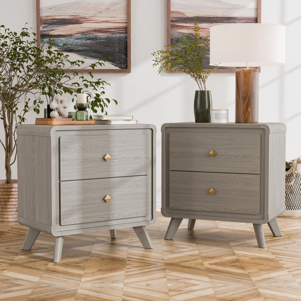 Sander Gray Contemporary 2-Drawer Nightstand (Set of 2)