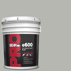 5 gal. #HDC-MD-26 Sonic Silver Flat Exterior Paint