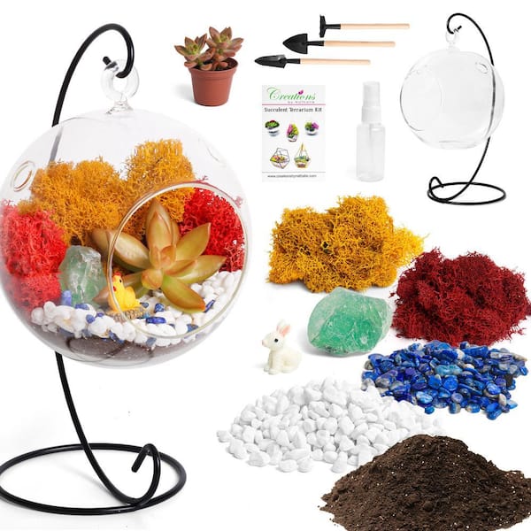 5 in. Glass Globe Terrarium Kit with Live Succulent, Metal Stand, Reindeer Moss, Crystals, Rocks, Tools and Figurine