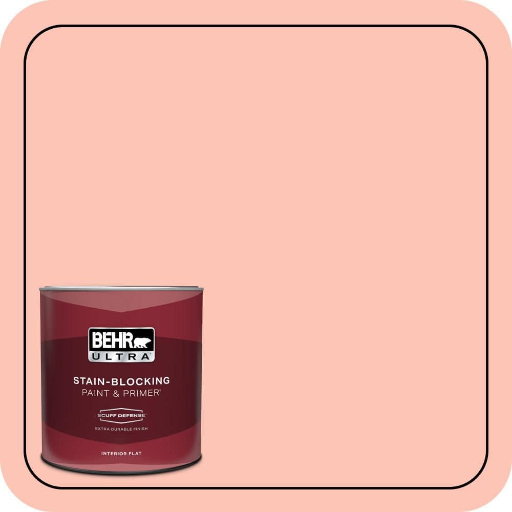1 qt. #190A-3 Salmon Peach Extra Durable Flat Interior Paint & Primer price history on PriceWatchPro