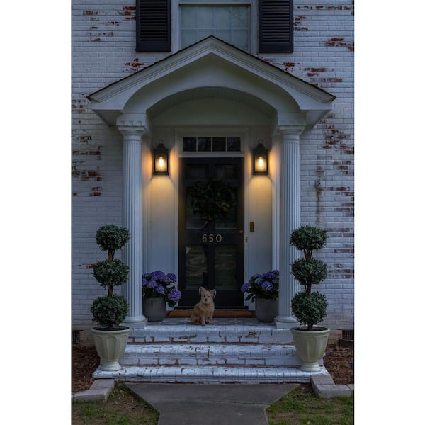 14.5 in. Black Outdoor Hardwired Wall Sconce with No Bulbs Included