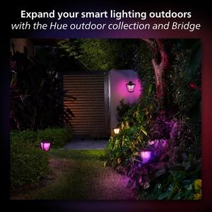White and Color Ambiance Econic Medium Black Outdoor Sconce and Lantern Fixture with Integrated LED