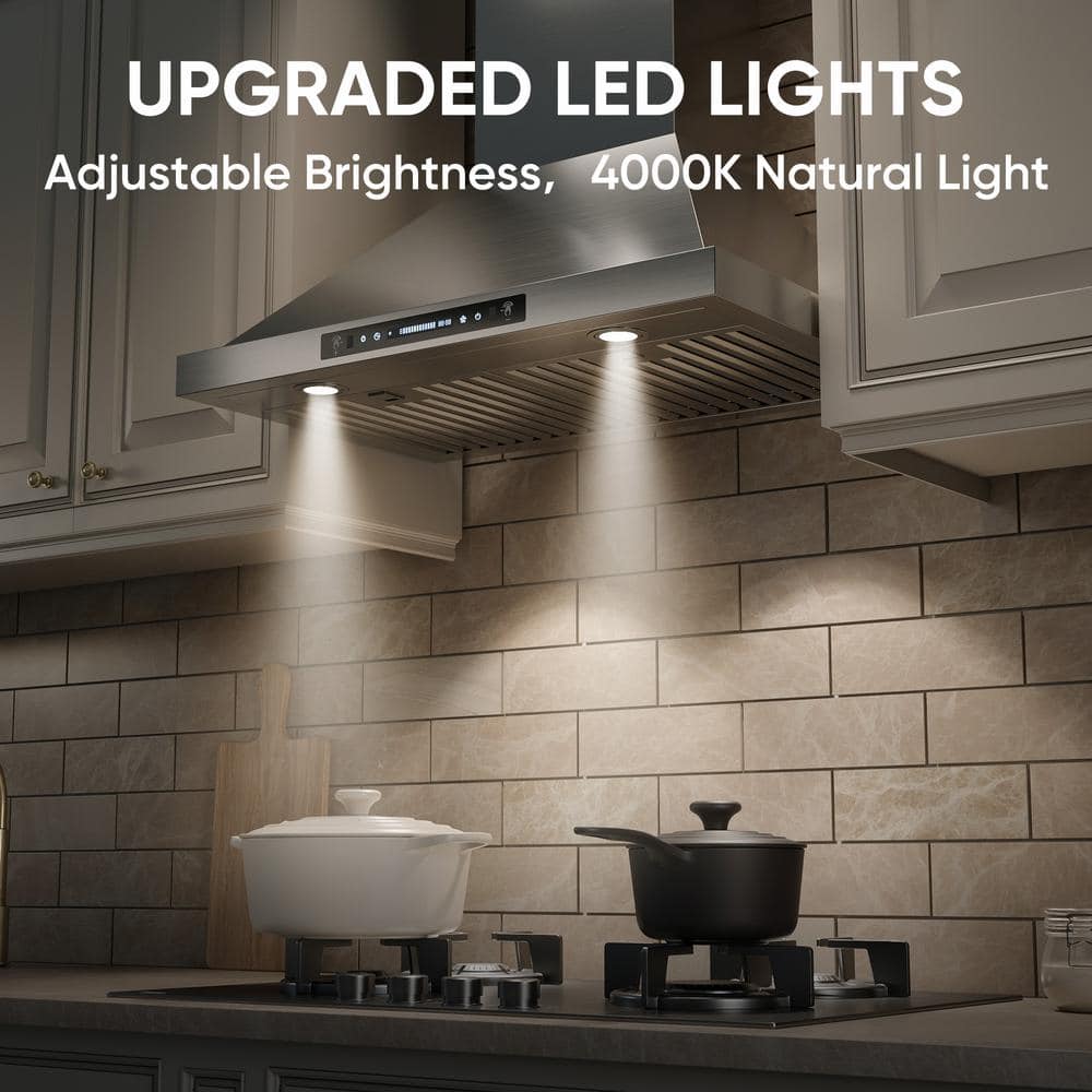 36'' Stainless Steel Convertible Wall Mount Range Hood with Charcoal Filter