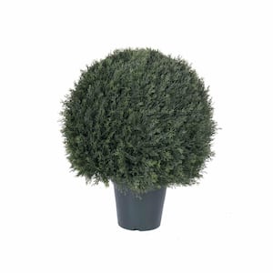24 in. Green Artificial Pond Cypress Cedar Topiary in Two Tone Green Pot