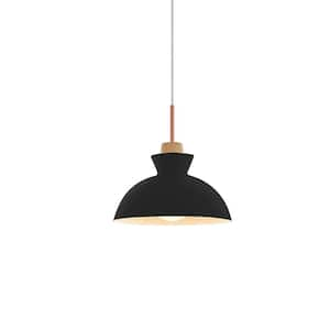 Grace 1-Light Dome Black Pendant Light