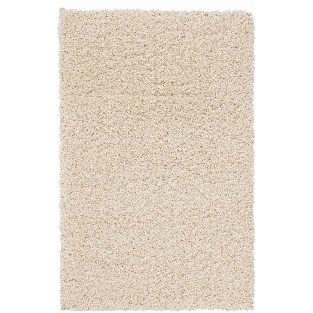 Shaggy Cream 3 ft. x 5 ft. Area Rug
