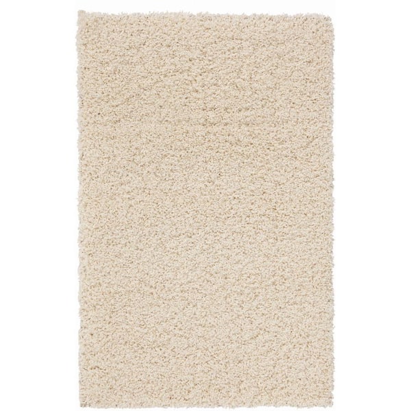 Unbranded Shaggy Cream 3 ft. x 5 ft. Area Rug