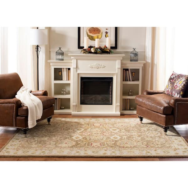 SAFAVIEH Anatolia Tan/Ivory 3 ft. x 5 ft. Border Area Rug AN522B-3 - The  Home Depot