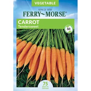 Carrot Tendersweet Seed