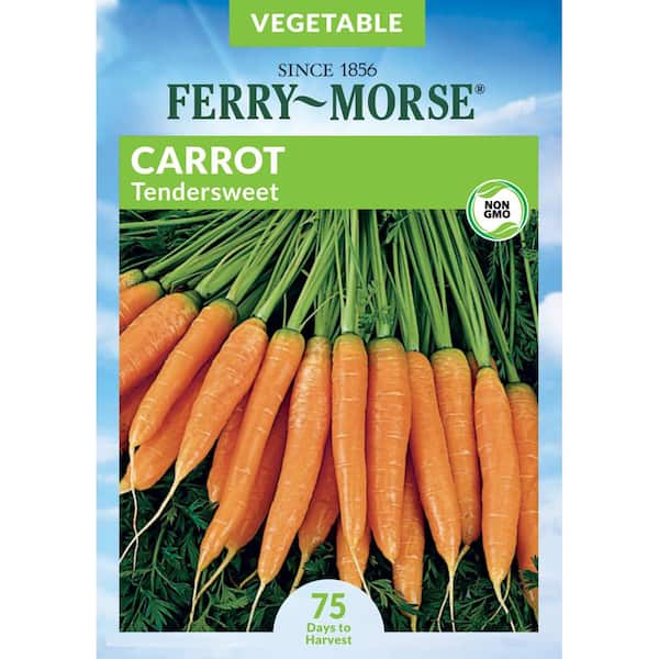 Ferry-Morse Carrot Tendersweet Vegetable Seeds