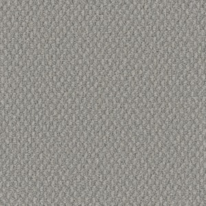 Dark Paradise - Crave - Gray 25 oz. SD Polyester Loop Installed Carpet