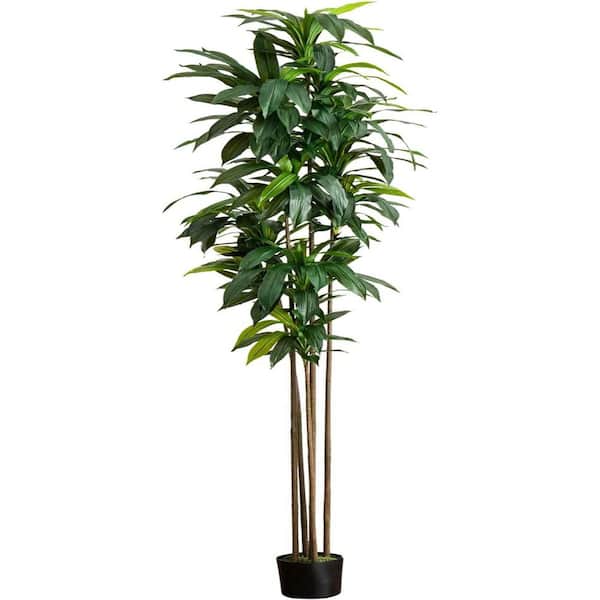 HOME IMPORTS EMPORIUM 10ft. Artificial Dracaena Tree with Real Touch Leaves
