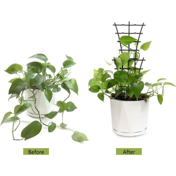 Cubilan 6-Pack Indoor Plant Trellis, Stackable Climbing Trellis for Potted  Houseplants, Plastic Support for Hoya and Pothos Jaycool1512 - The Home  Depot
