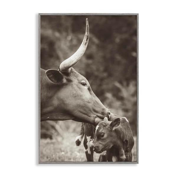 Longhorn Kissing Baby by Nathan Larson Gray Framed Animal Giclee Art Print 30 in. x 20 in.