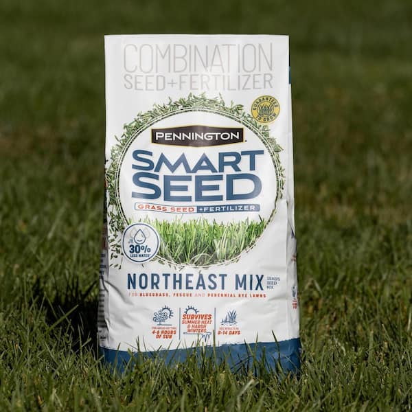 Pennington Smart Seed Northeast 7 lb. 2,330 sq. ft. Grass Seed and 