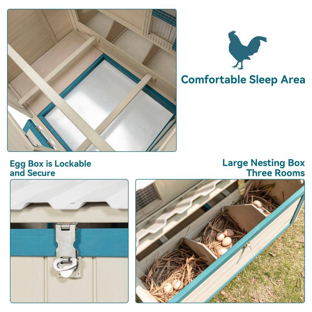 74" White and Blue Solid Wood Outdoor Chicken Coop with PVC Roof