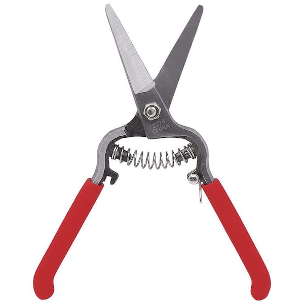 ZENPORT Needlenose Shear, Bonsai and Orchids, Mini 6 in. Forged