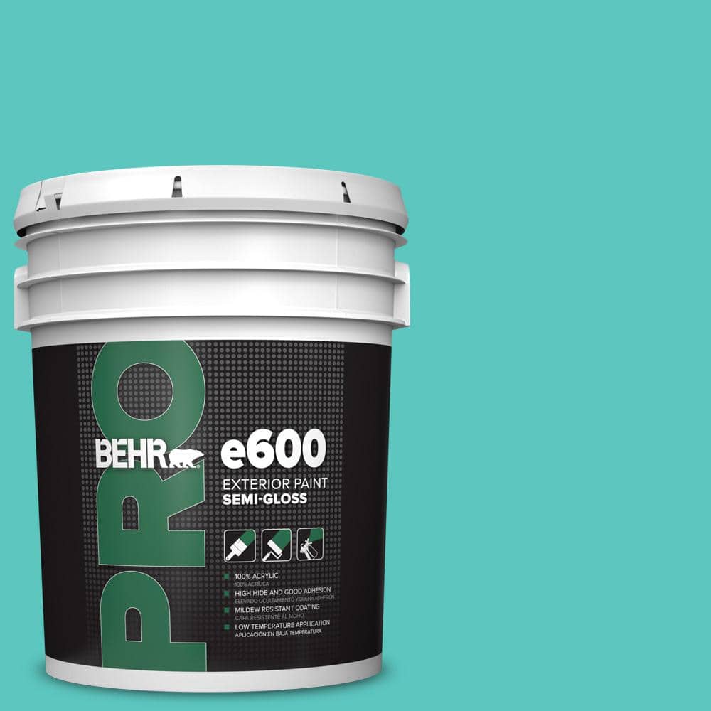 5 gal. #490B-4 Sea Life Semi-Gloss Exterior Paint price history on PriceWatchPro