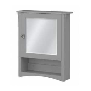 Salinas 23.7 in. W x 27.99 in. H Rectangular Particle Board Medicine Cabinet with Mirror in Cape Cod Gray