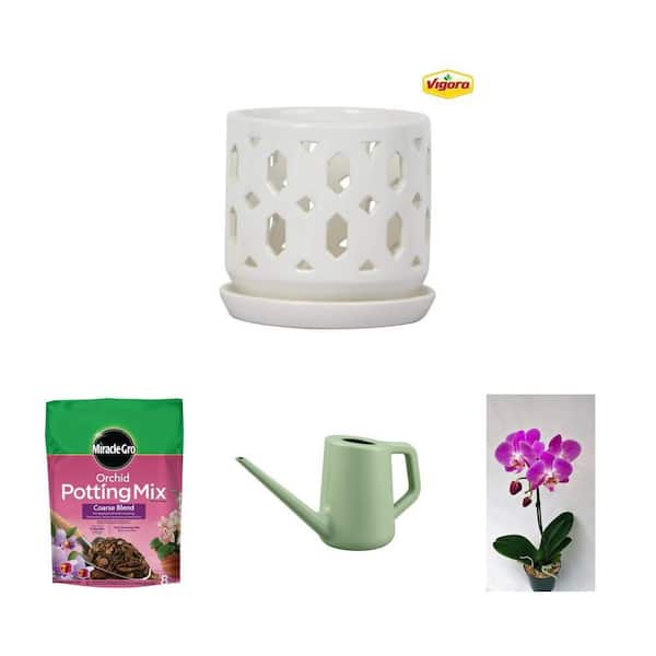 5 in. Ceramic Orchid Planter, 8 Qt. Soil Mix, 1.7L Watering Can and 4 in. Orchid Combo