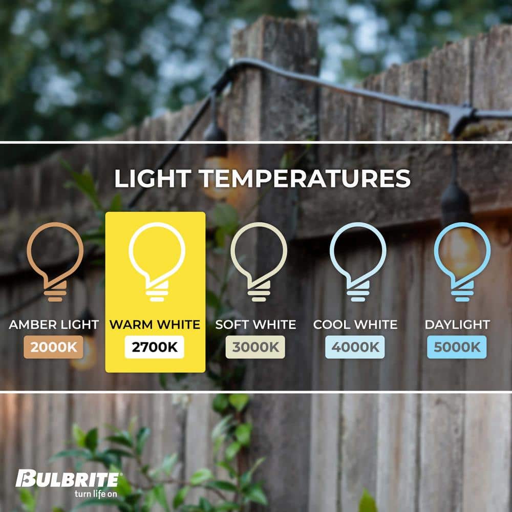 30 ft. Black String Light Kit with Clear Shatter Resistant LED Bulbs