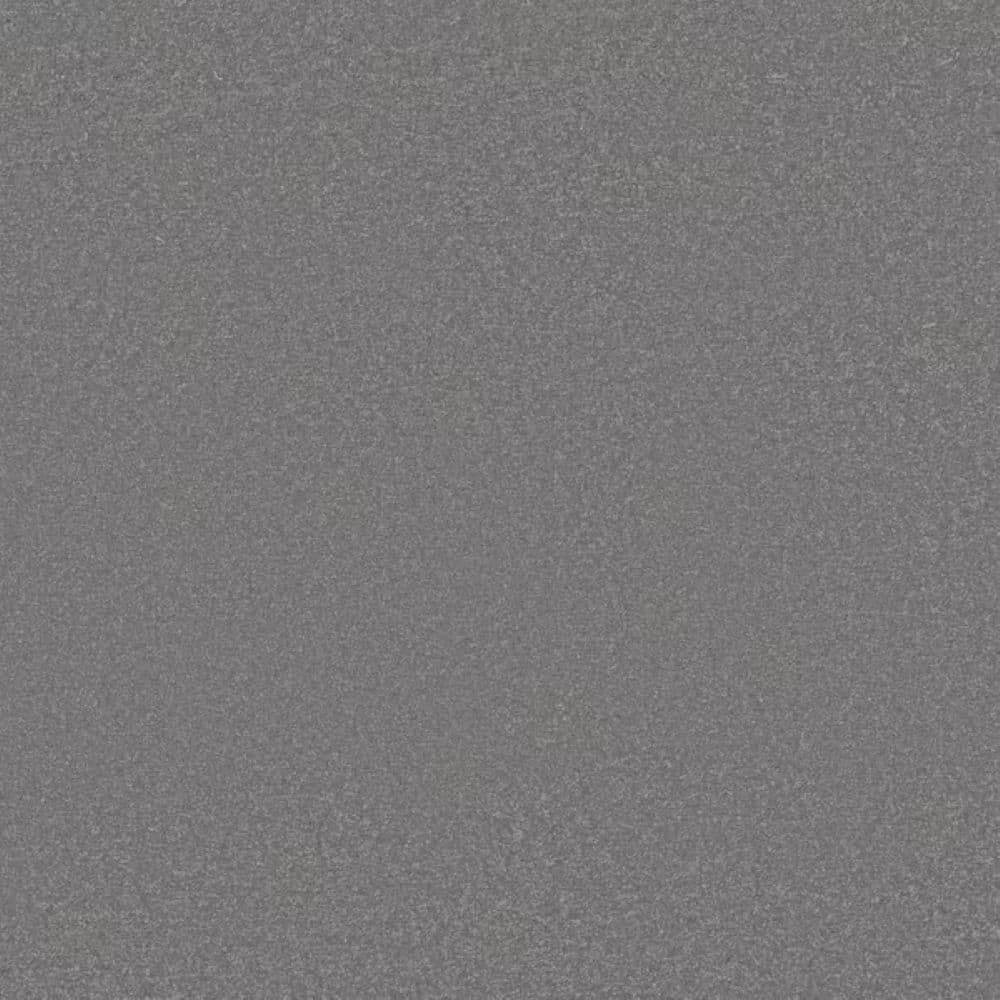 8 in. x 8 in. Texture Carpet Sample-Park Royal II-Color Steel price history on PriceWatchPro