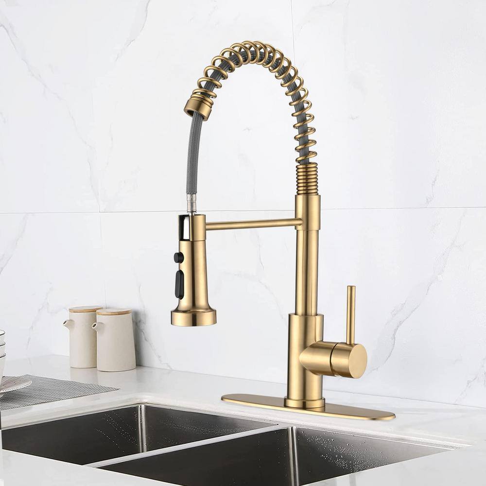 Single Handle Pull Down Sprayer Kitchen Faucet, Spring Kitchen Faucet Stain