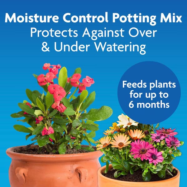 6 inch pot plant 6 inch Flower Pot (Qty. 100), Nursery Container, Greenhouse Azalea Pot –  Starting Gardens