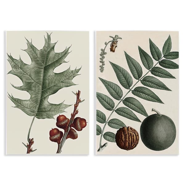 Stupell Industries Tree Leaves and Nuts by Graffi*tee Studios 2 Pieces Unframed Nature Graphic Art Print 15 in. x 10 in.