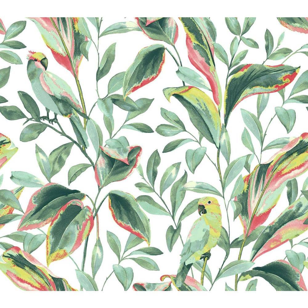 60.75 sq. ft. Tropical Love Birds Wallpaper