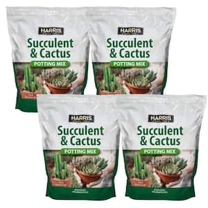 4qt. Succulent and Cactus Potting Soil Mix (4-Pack)