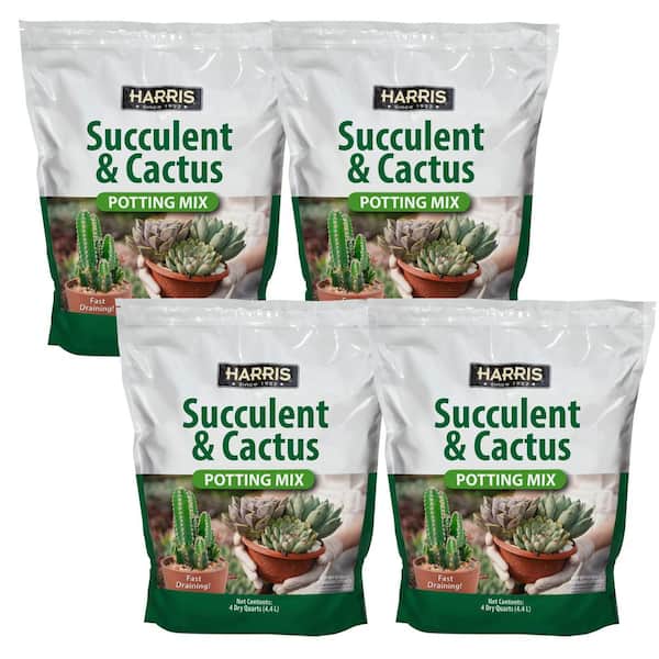Harris 4qt. Succulent and Cactus Potting Soil Mix (4-Pack)
